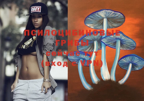 mdpv Абинск